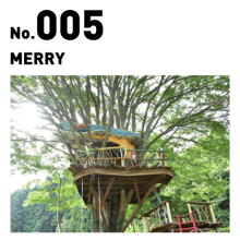 100 TREE HOUSES